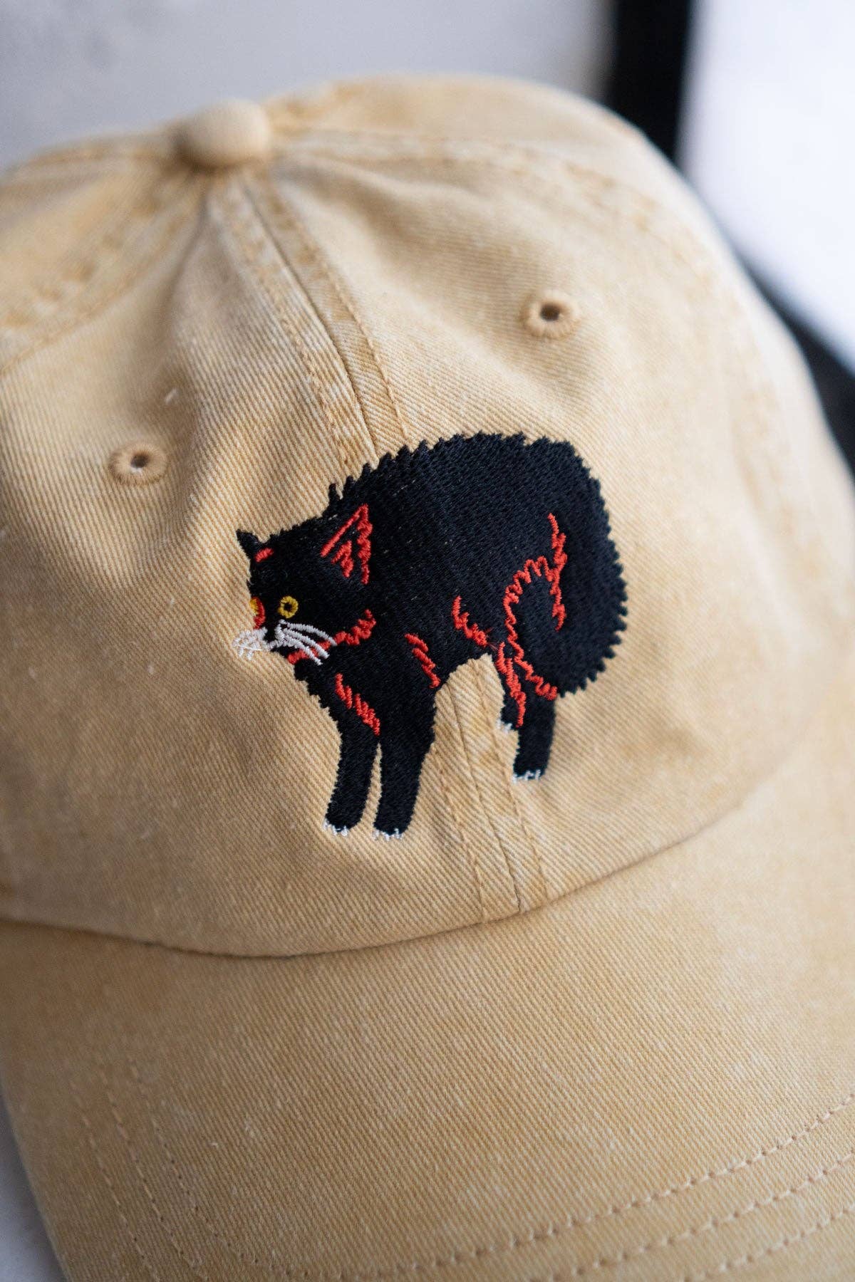 Stay Home Club • Scaredy Cat Hat | Black Cat Embroidered Dad Hat