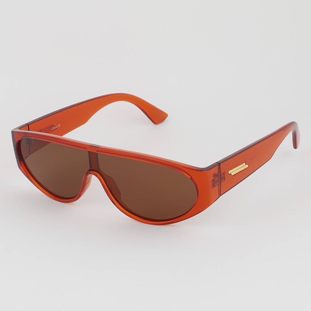 Tinted Aviator Retro Sunglasses