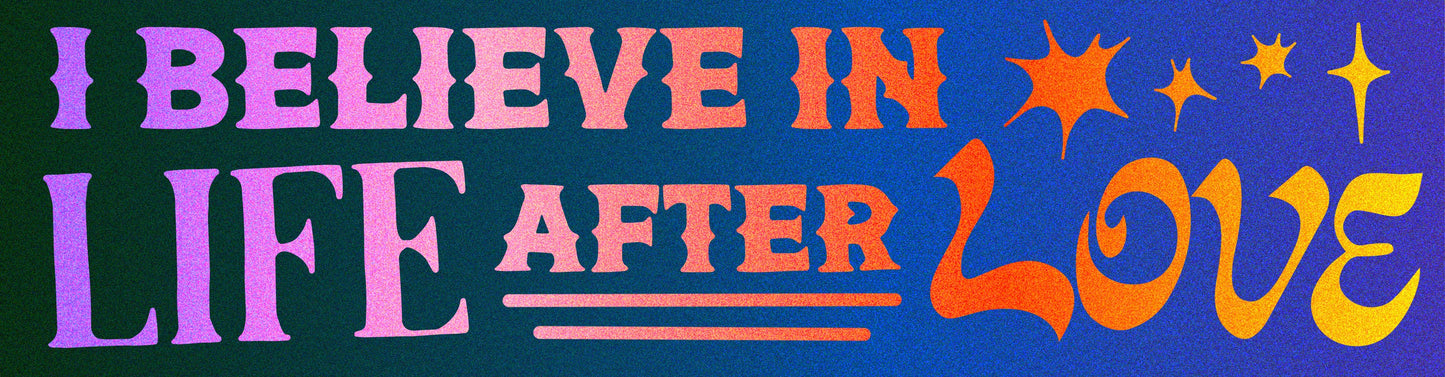I Believe in Life After Love (Cher) • Bumper Sticker