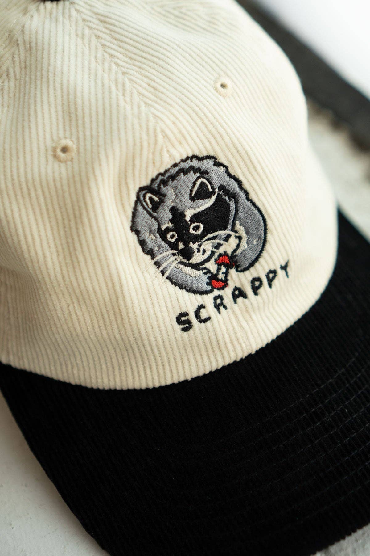 Stay Home Club • "Scrappy" Raccoon Dad Hat