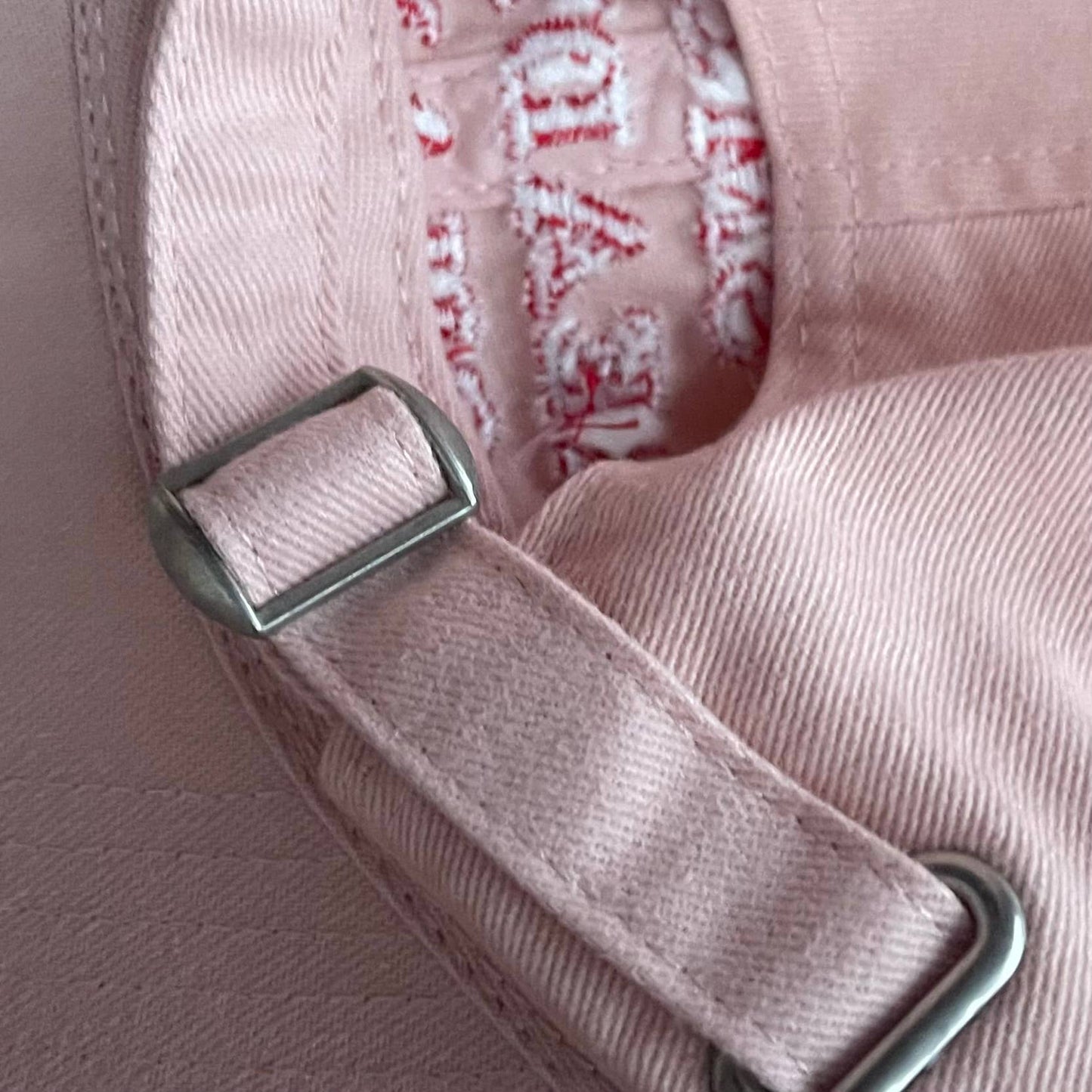 The Silver Spider • “Smut Reading Champ” Baseball Dad Hat, Pink