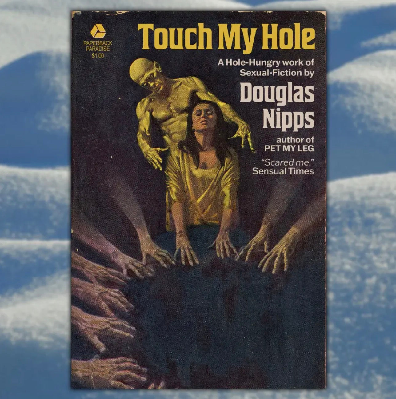 Touch My Hole Postcard