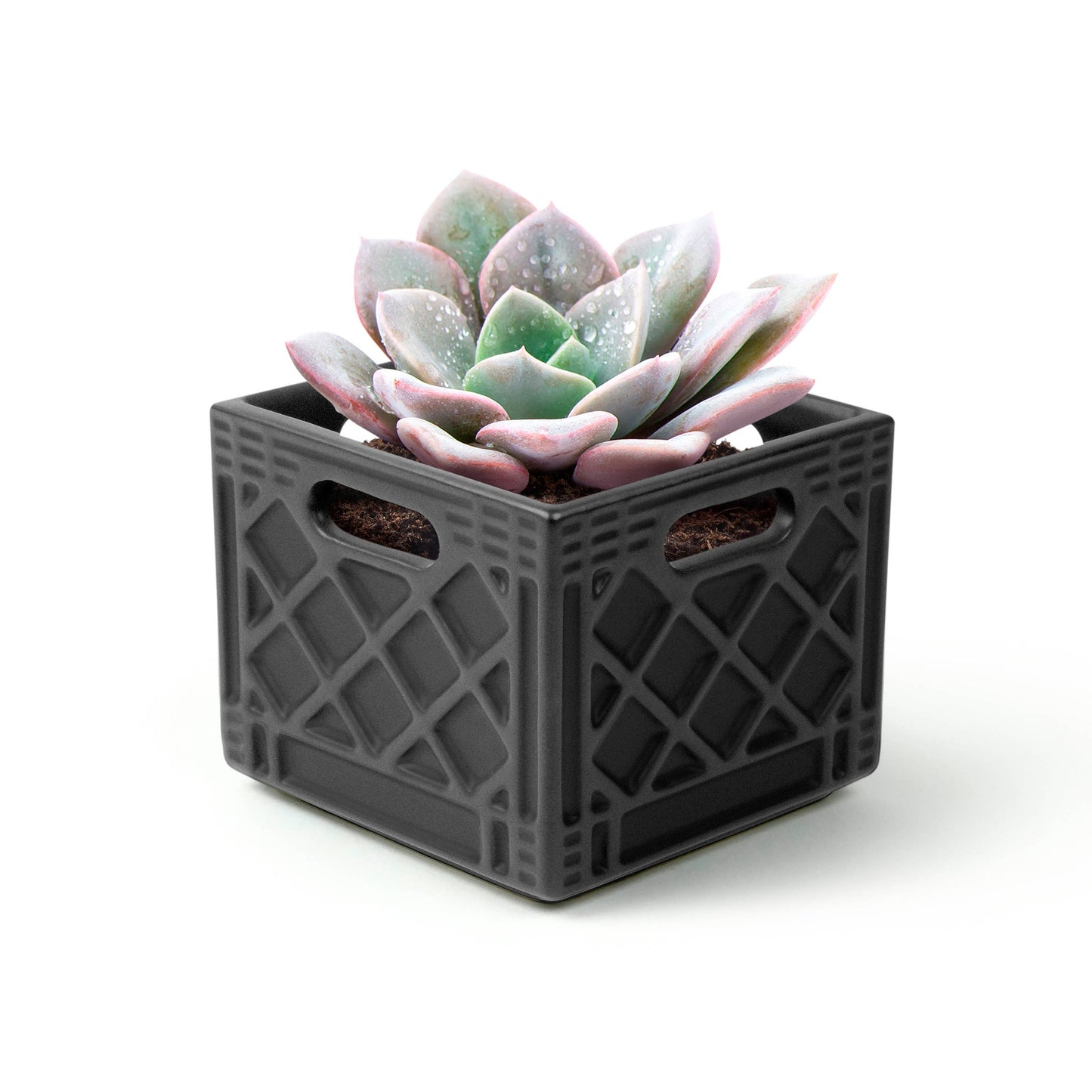 Fred & Friends • Planter, Milk Crate