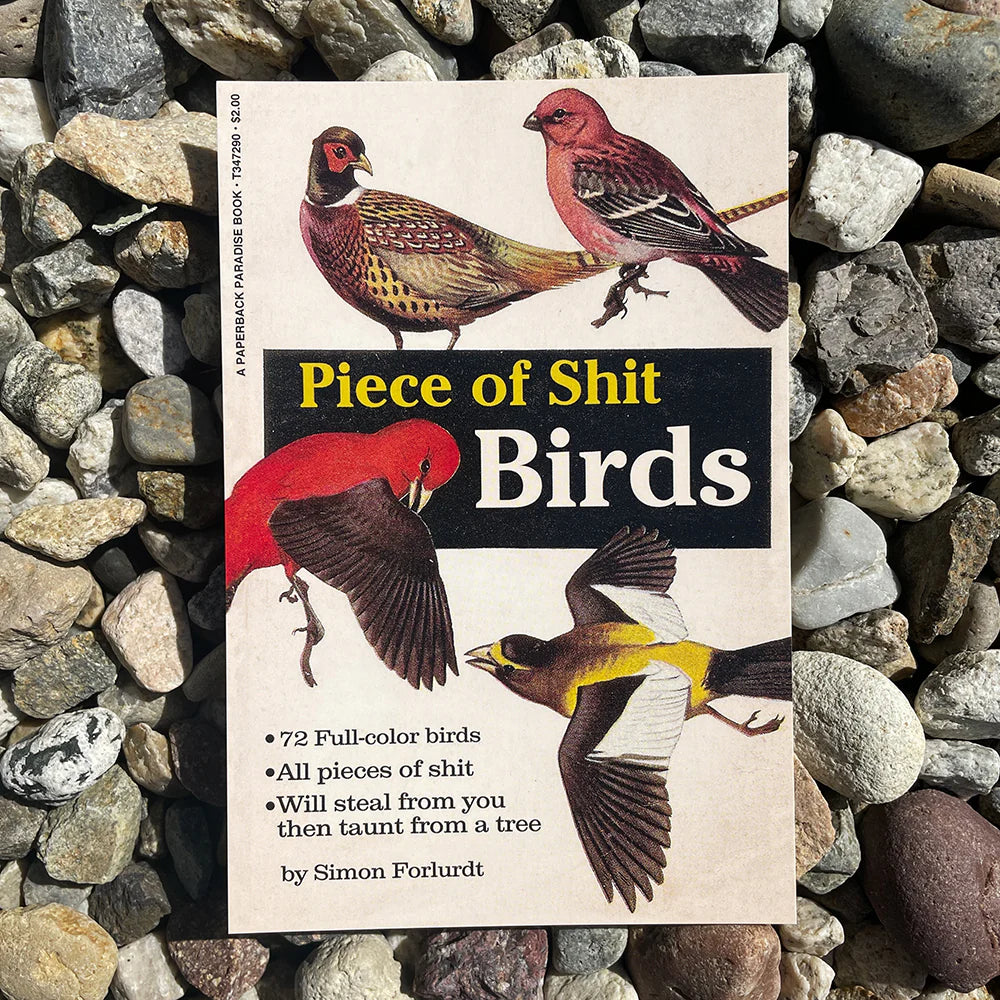 Pieces Of Shit Birds Postcard
