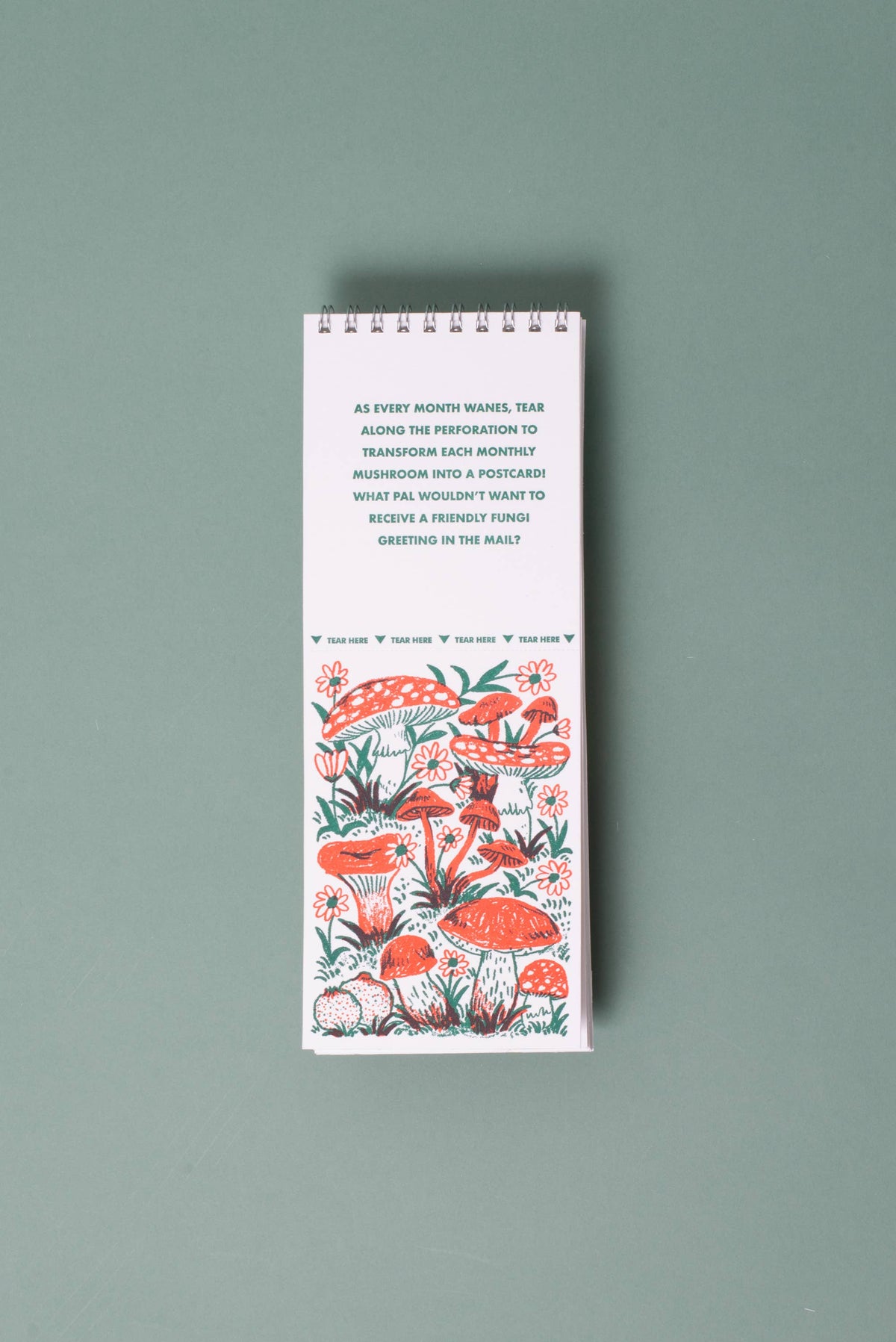 Phoebe Wahl • 2027 Gnomes & Mushrooms Postcard Wall Calendar