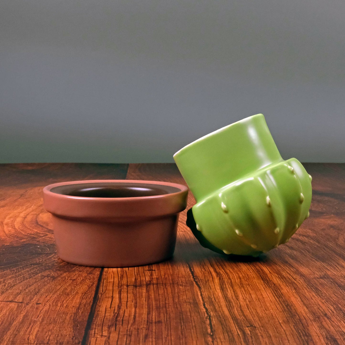 HOUSE PLANT Ceramic Cactus Butter Storage