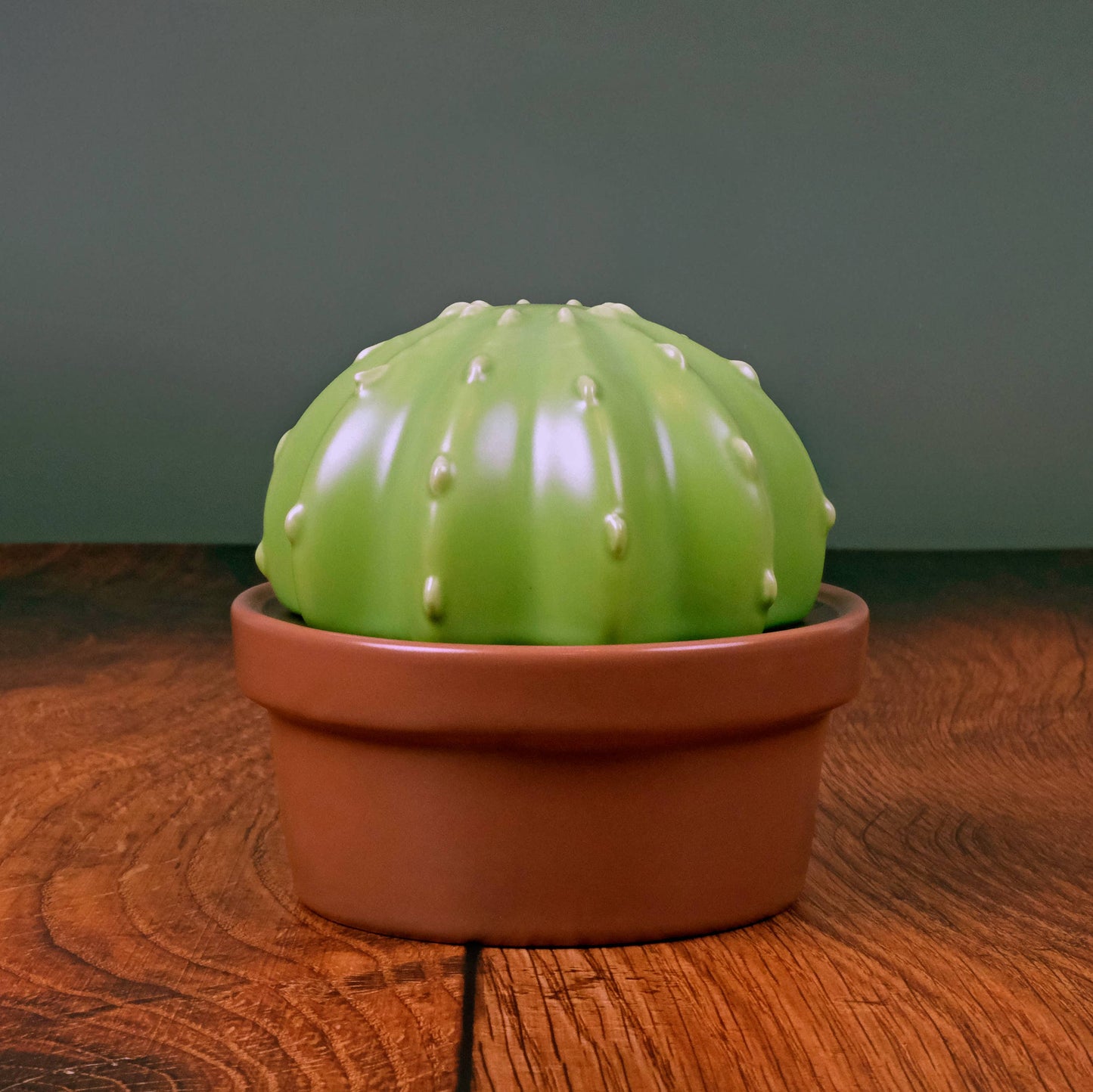 HOUSE PLANT Ceramic Cactus Butter Storage