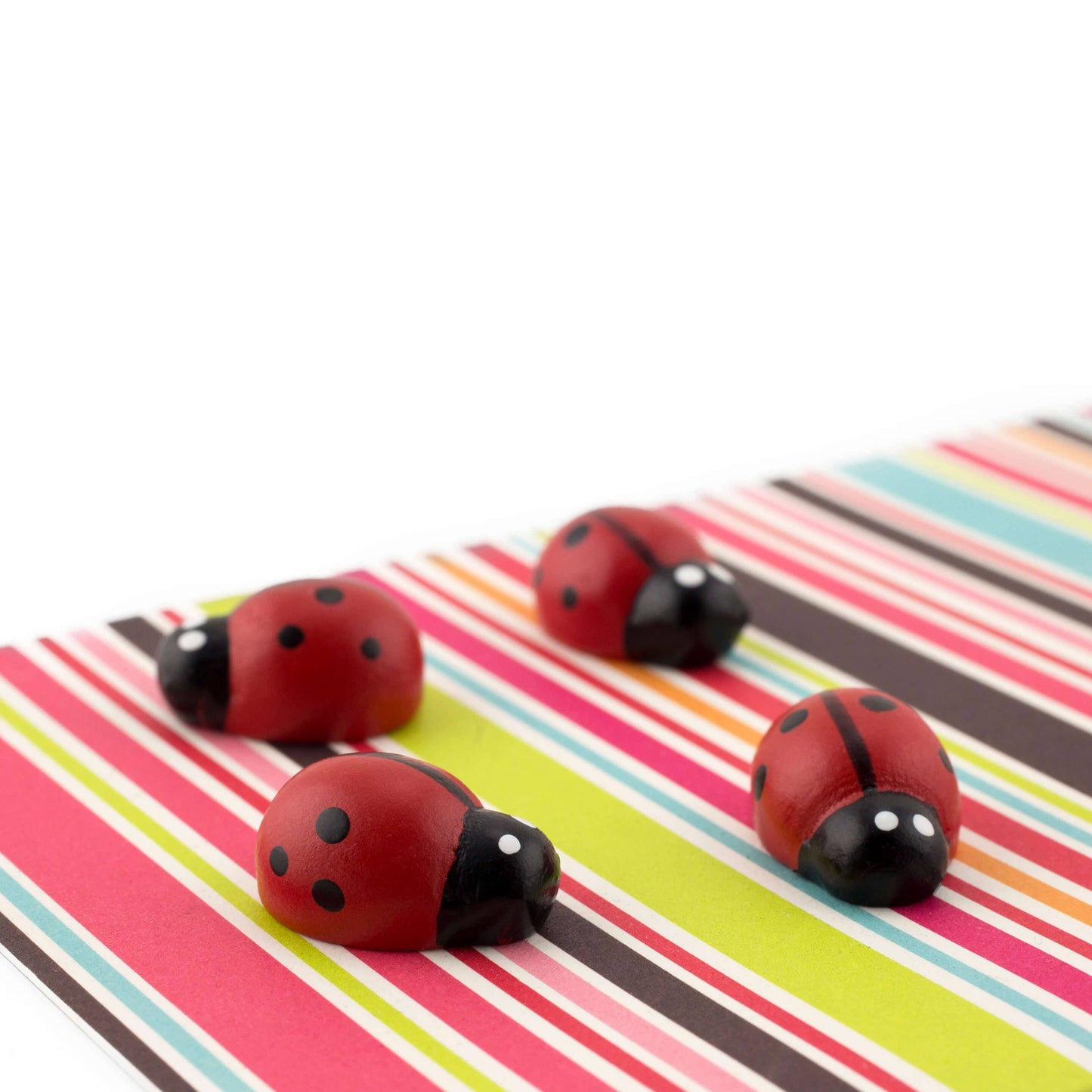 Ladybug Magnets