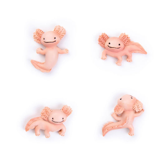 Three by Three Seattle • Axolotl Magnets