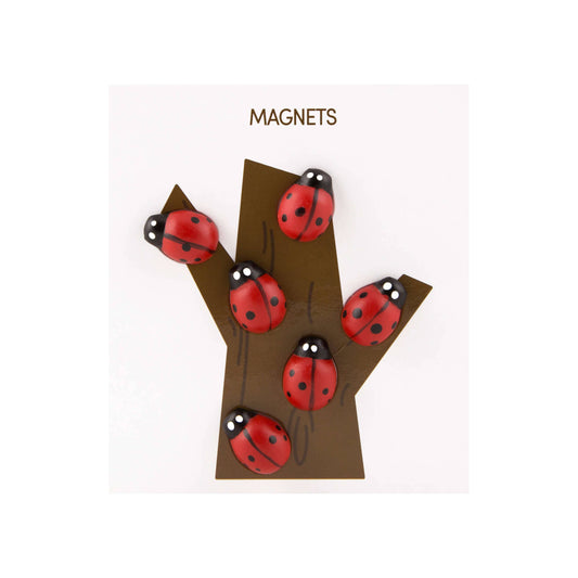 Ladybug Magnets