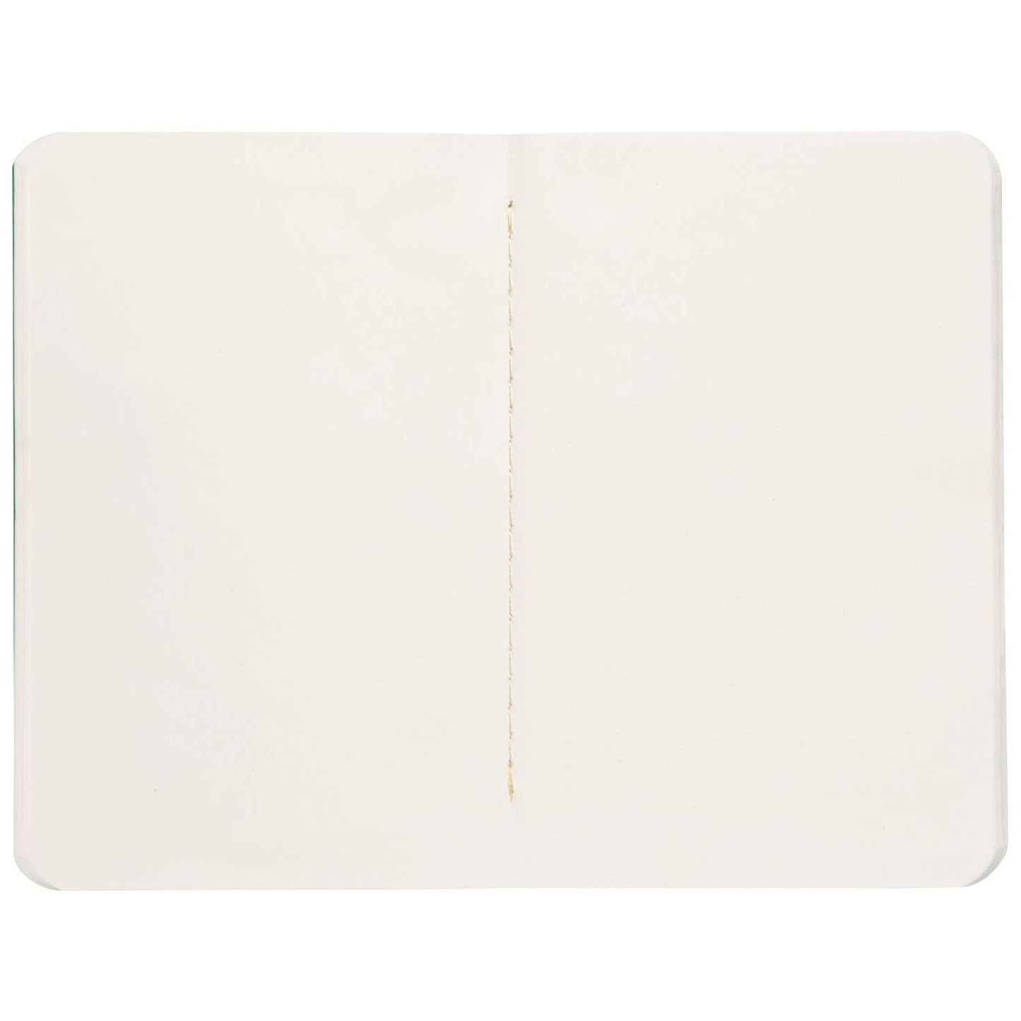 Ribbit Pocket Notebooks Set of 2