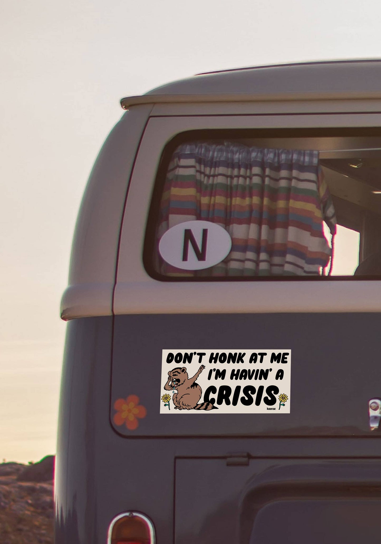 SALE • “Havin' A Crisis” Raccoon Bumper Sticker