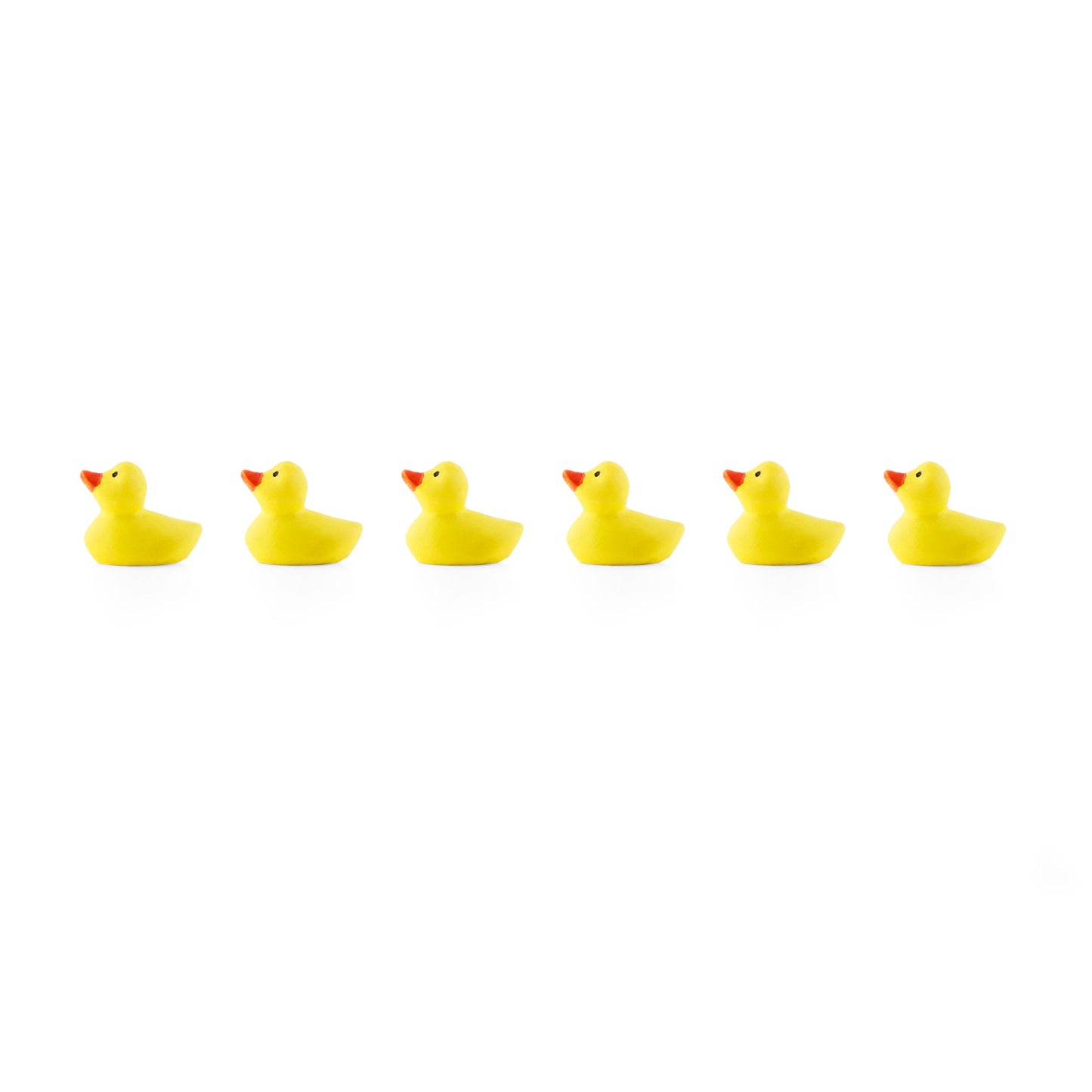 Duck Magnets