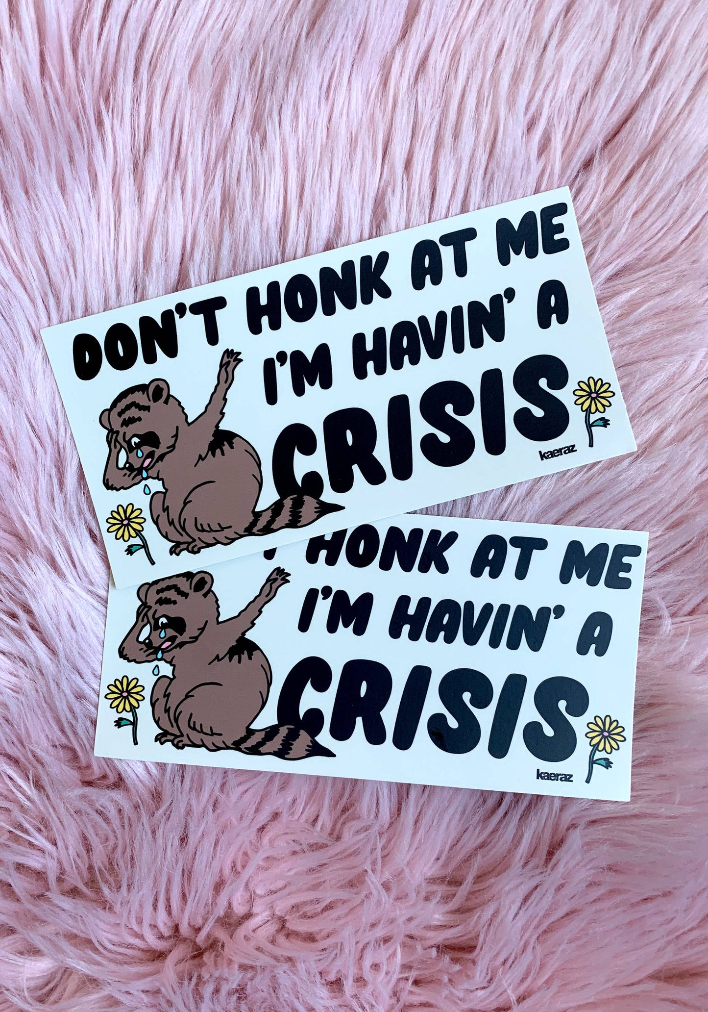 SALE • “Havin' A Crisis” Raccoon Bumper Sticker