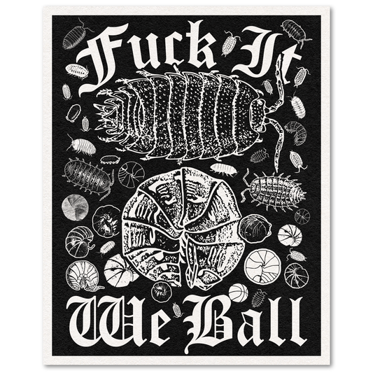 Arcane Bullshit • 8” x 10” Print, “Fuck it, We Ball (Ball So Hard Version)”