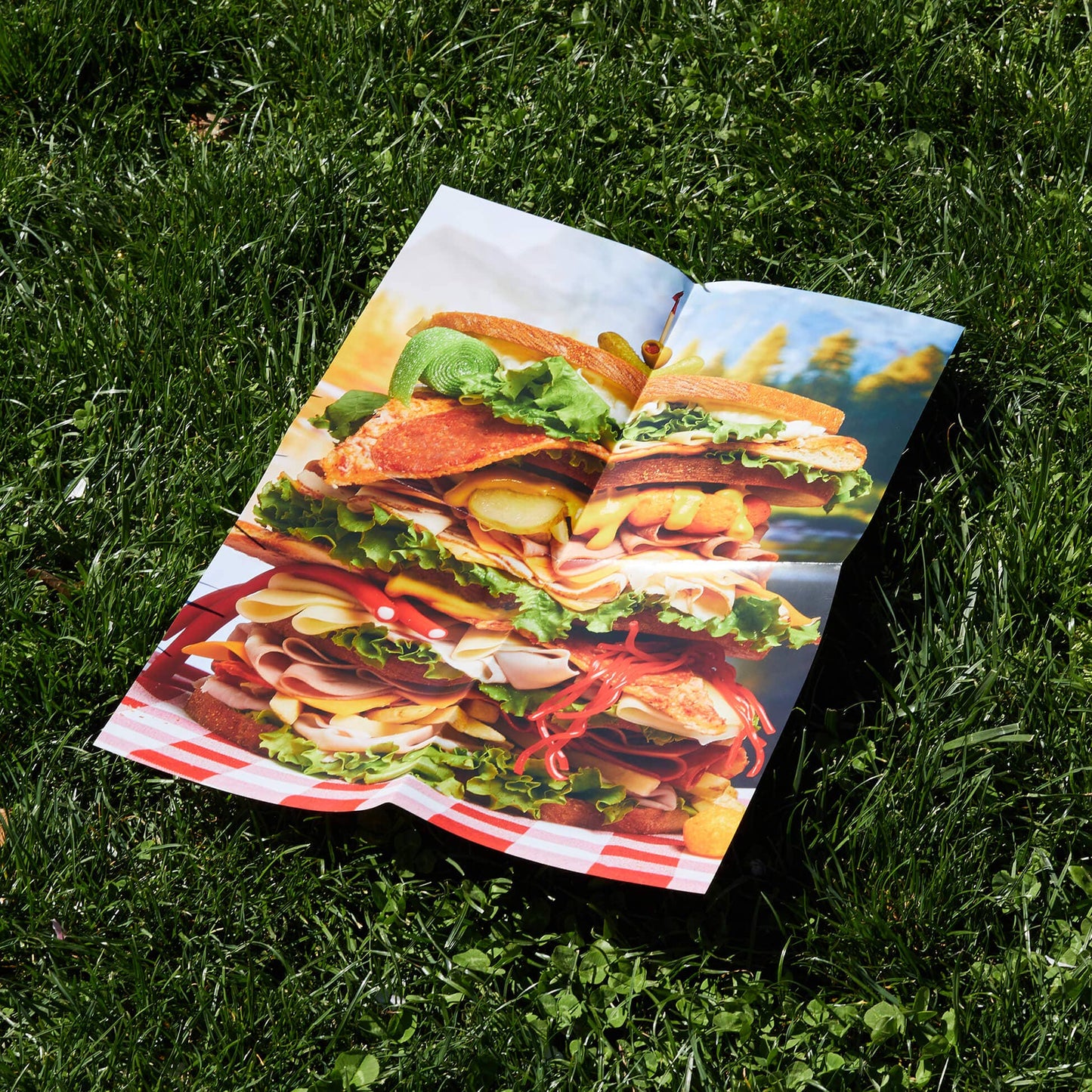 Big Sammy • Puzzle