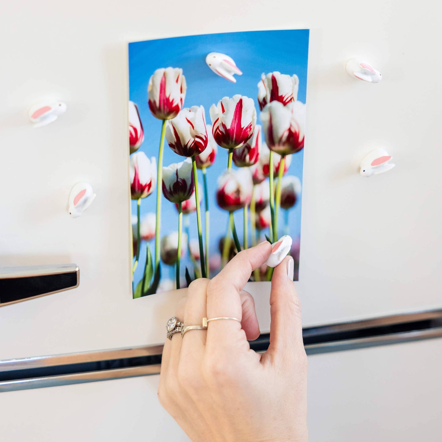 Three by Three Seattle • Bunny Magnets