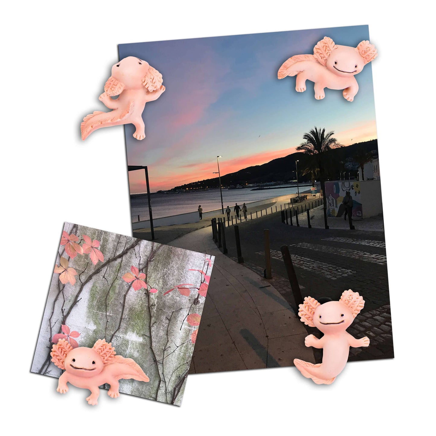 Three by Three Seattle • Axolotl Magnets