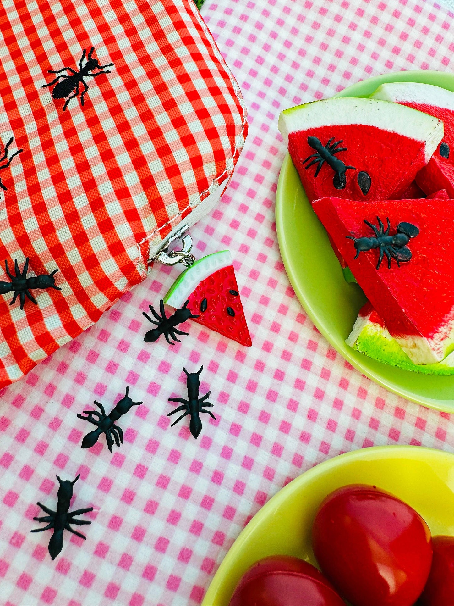 A Shop of Things • Picnic Smell Proof Bag