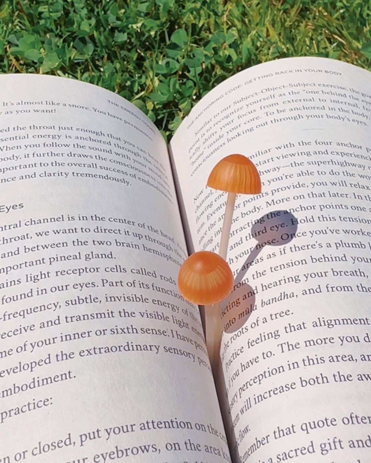 Magic Sprouts, Mushroom Bookmarks, Set of 4