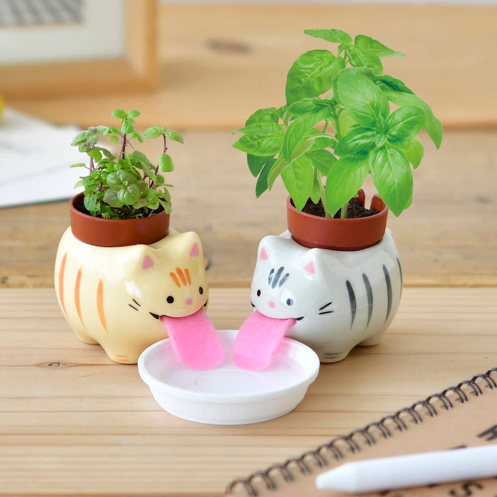 Tabby Cat Peropon • Basil Or Mint Cultivation Kit