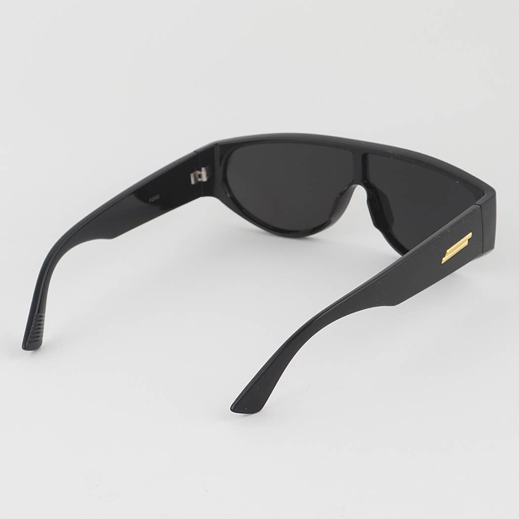 Tinted Aviator Retro Sunglasses