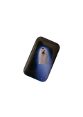 Gentle Thrills • Comet Pinback Button