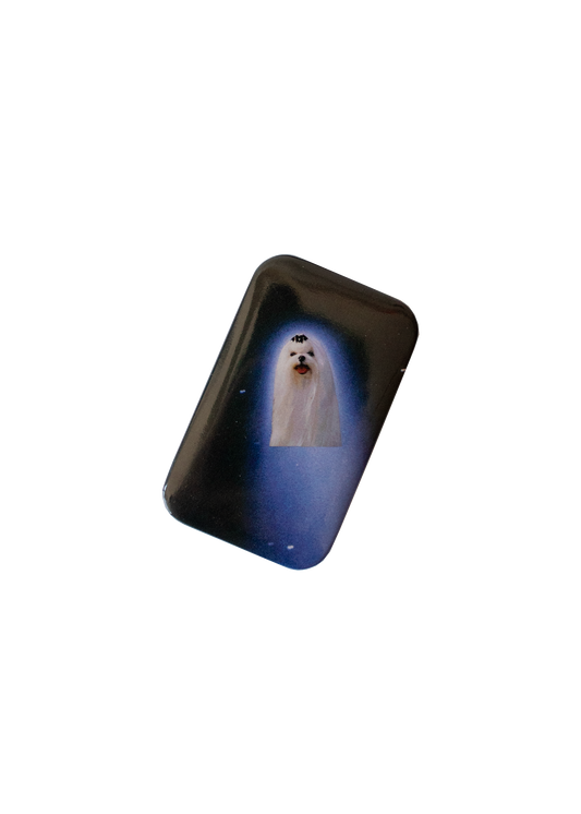 Gentle Thrills • Comet Pinback Button