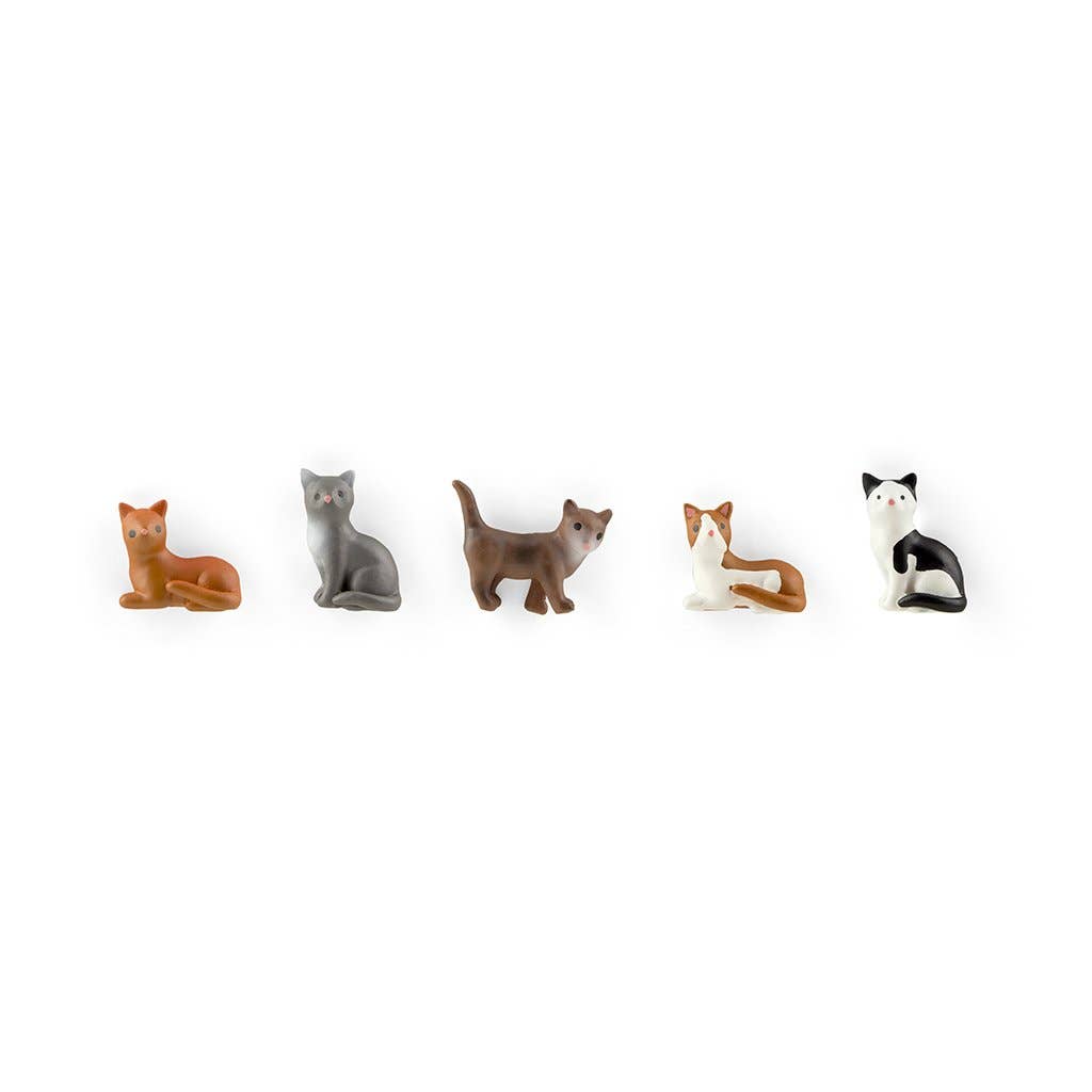 Three by Three Seattle • Cat Magnets