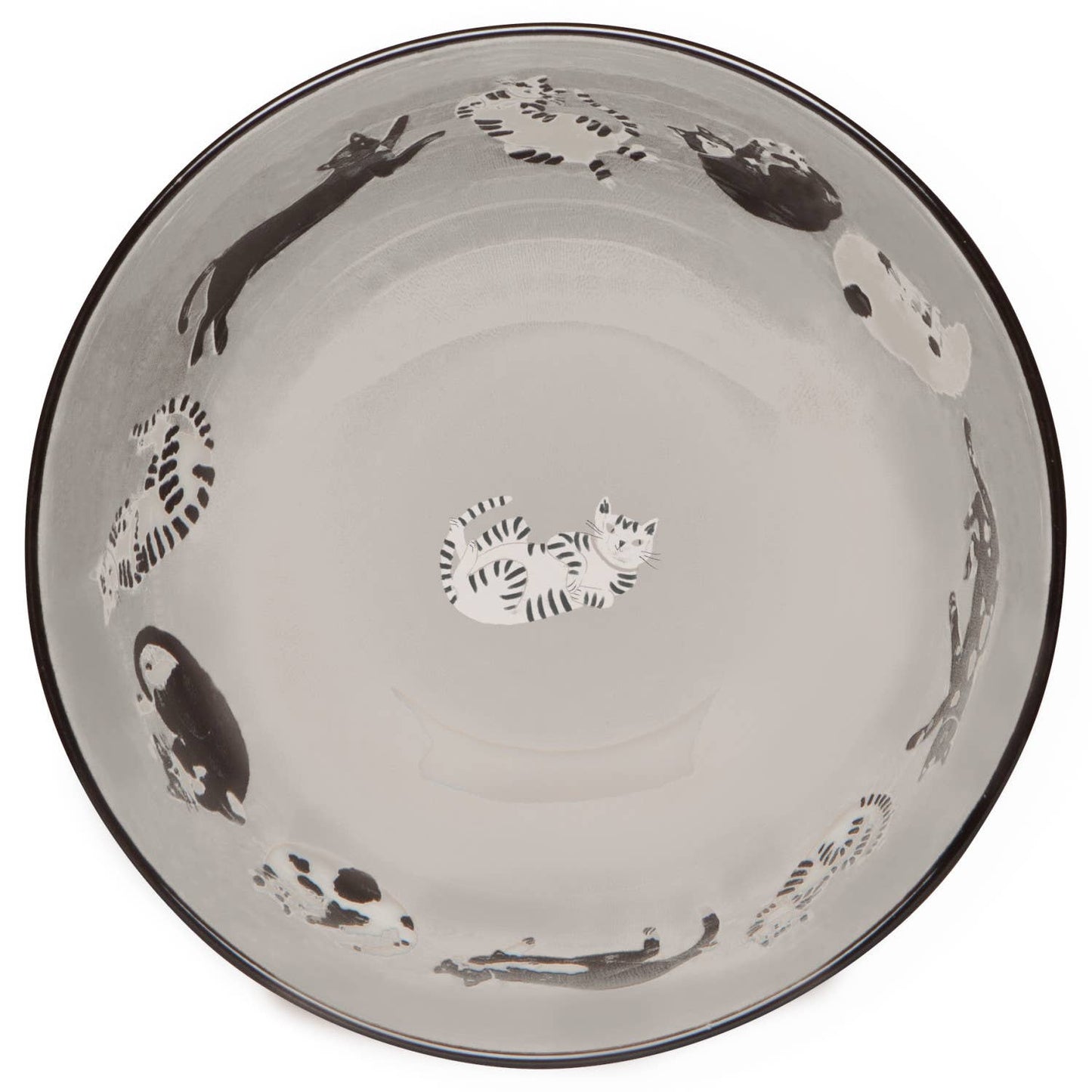 Meow & Furever Bowls Set of 4 Assorted