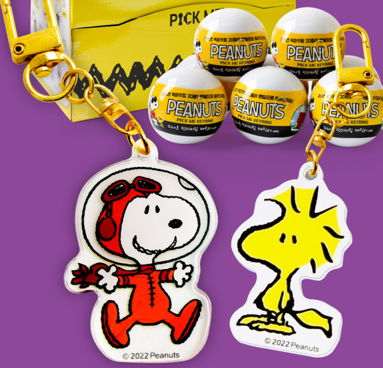 Peanuts • Snoopy & Mystery Acrylic Key Chain Charm