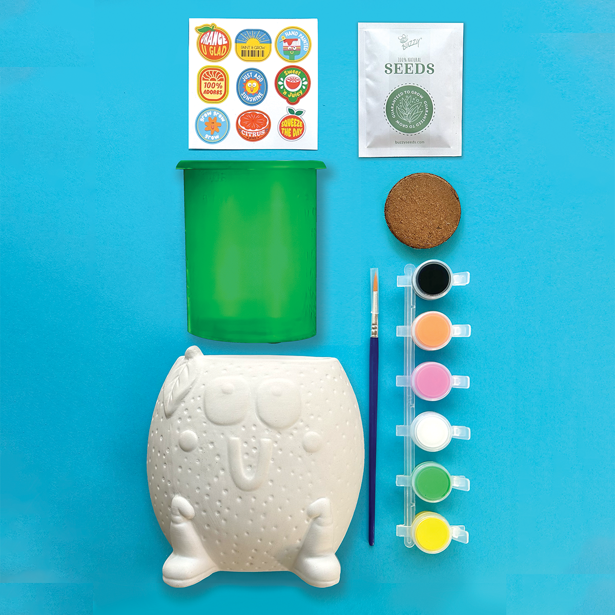 Paint & Grow- Orange