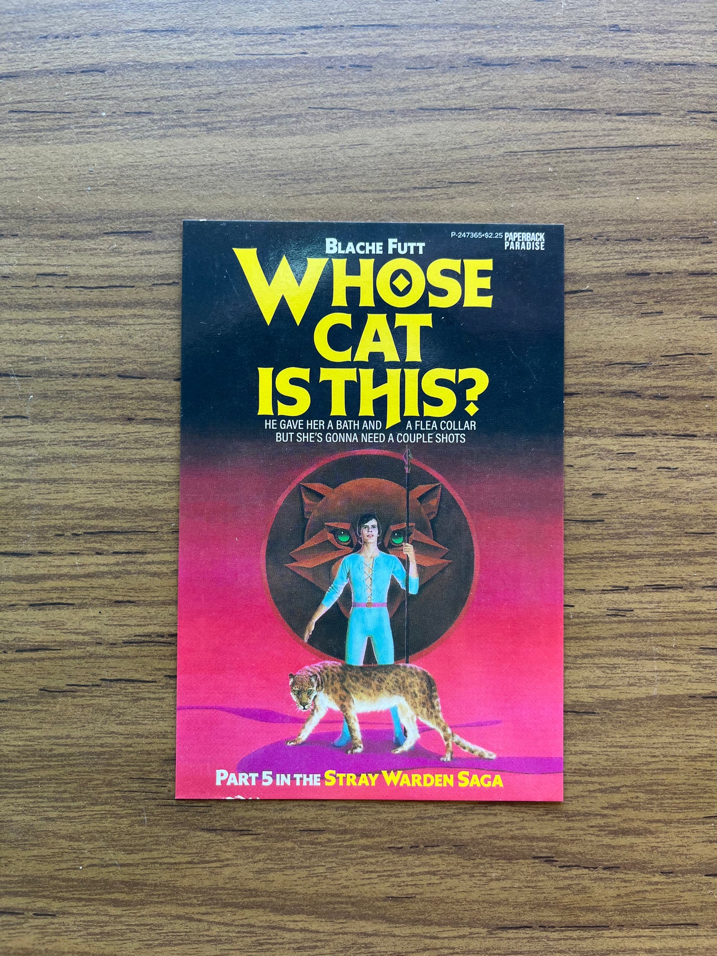 Whose Cat Is This? Postcard