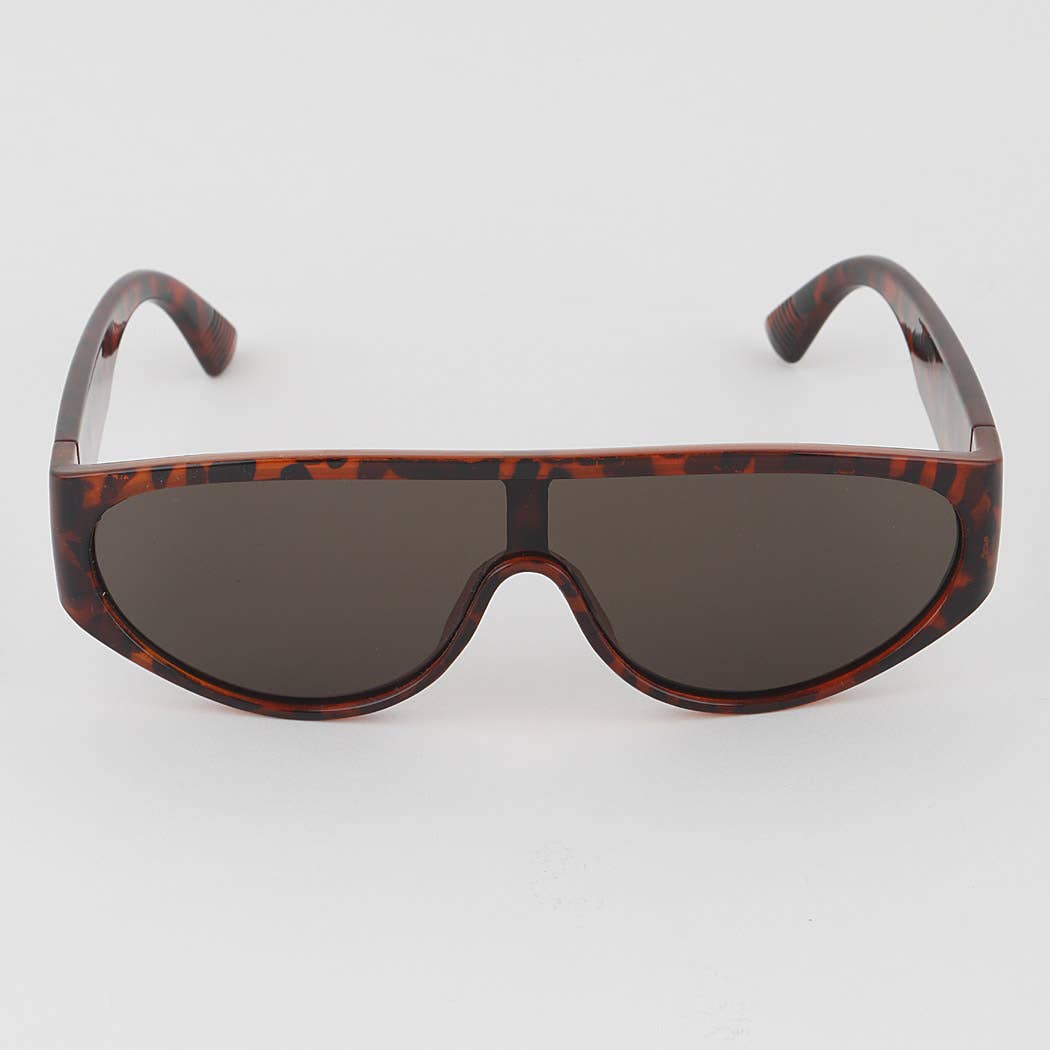 Tinted Aviator Retro Sunglasses