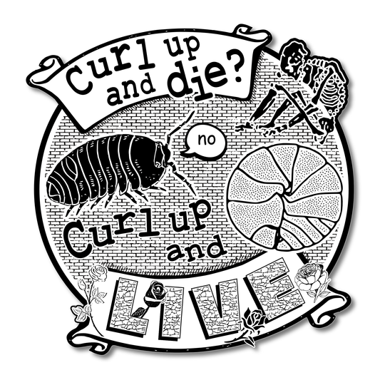 Arcane Bullshit • “Curl Up And Die” Vinyl Sticker