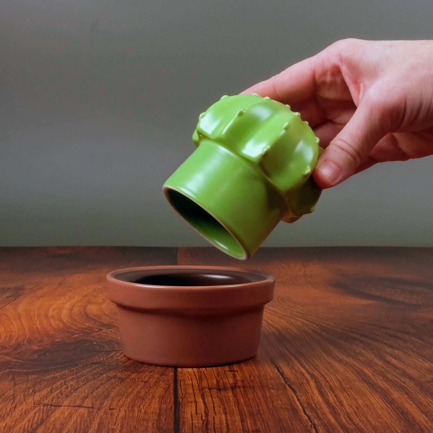 HOUSE PLANT Ceramic Cactus Butter Storage