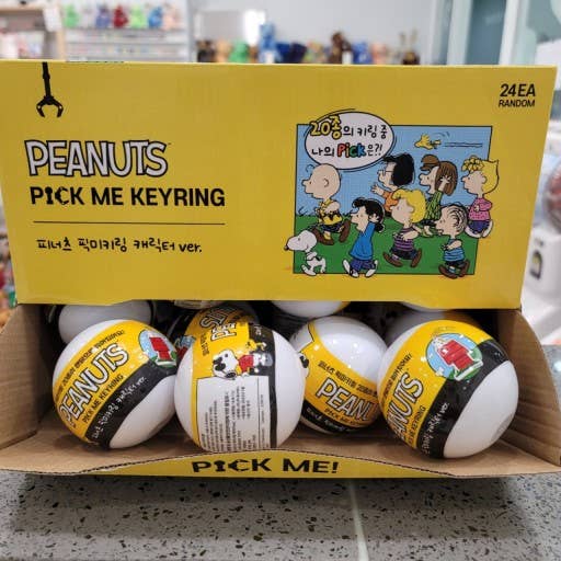 Peanuts • Snoopy & Mystery Acrylic Key Chain Charm