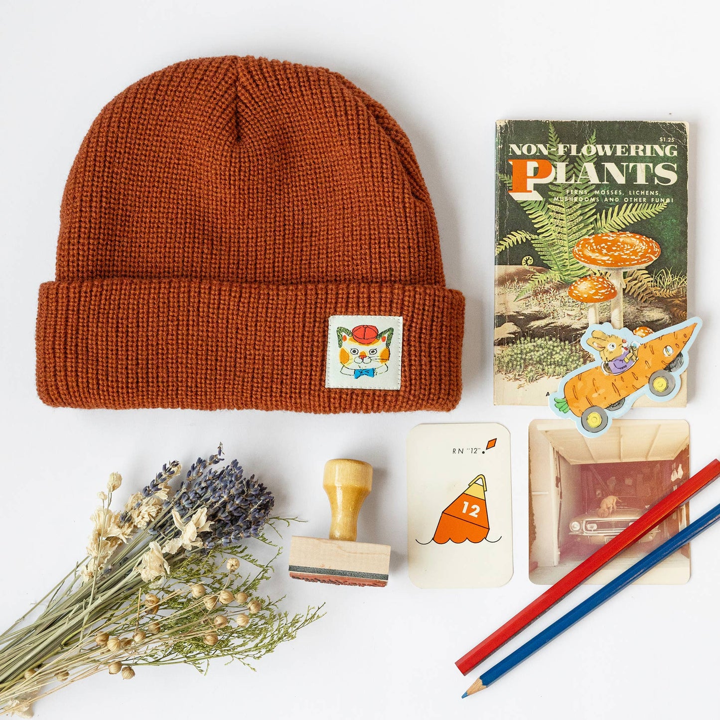 3P4 x Richard Scarry® • Huck Cat Beanie