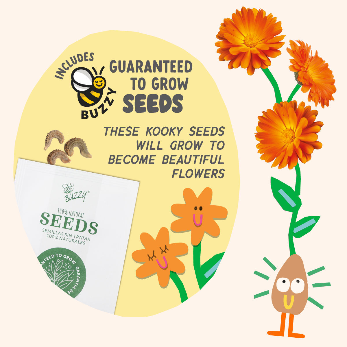 Paint & Grow- Orange