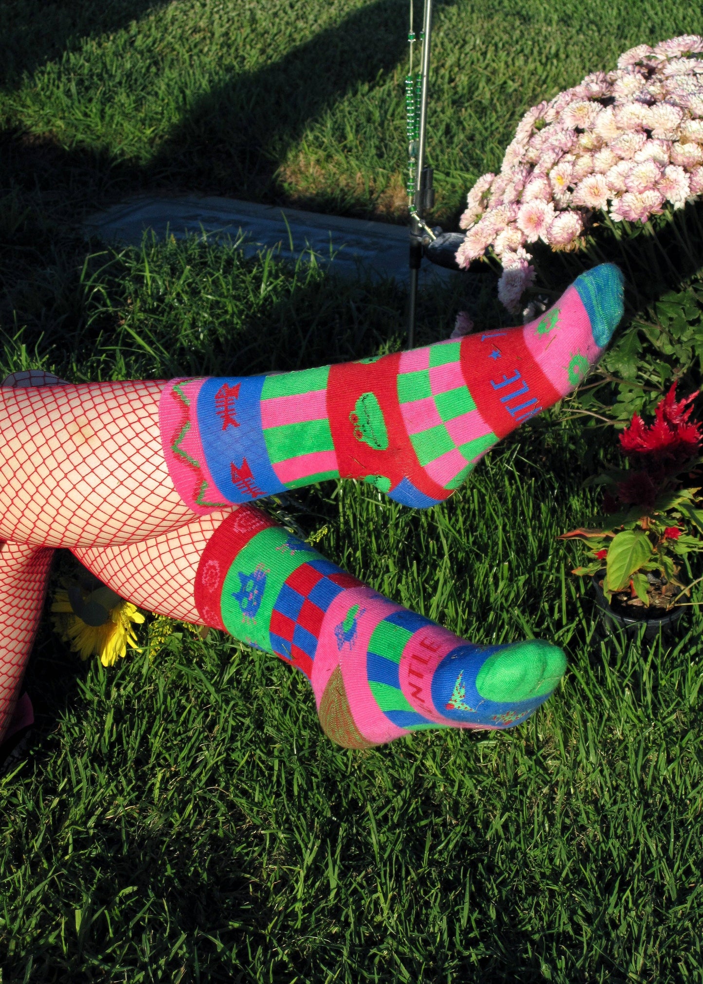 Gentle Thrills • Mismatched Wacky Crew Socks
