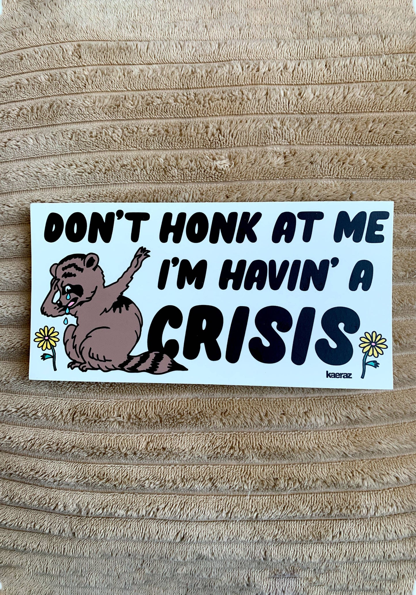 SALE • “Havin' A Crisis” Raccoon Bumper Sticker