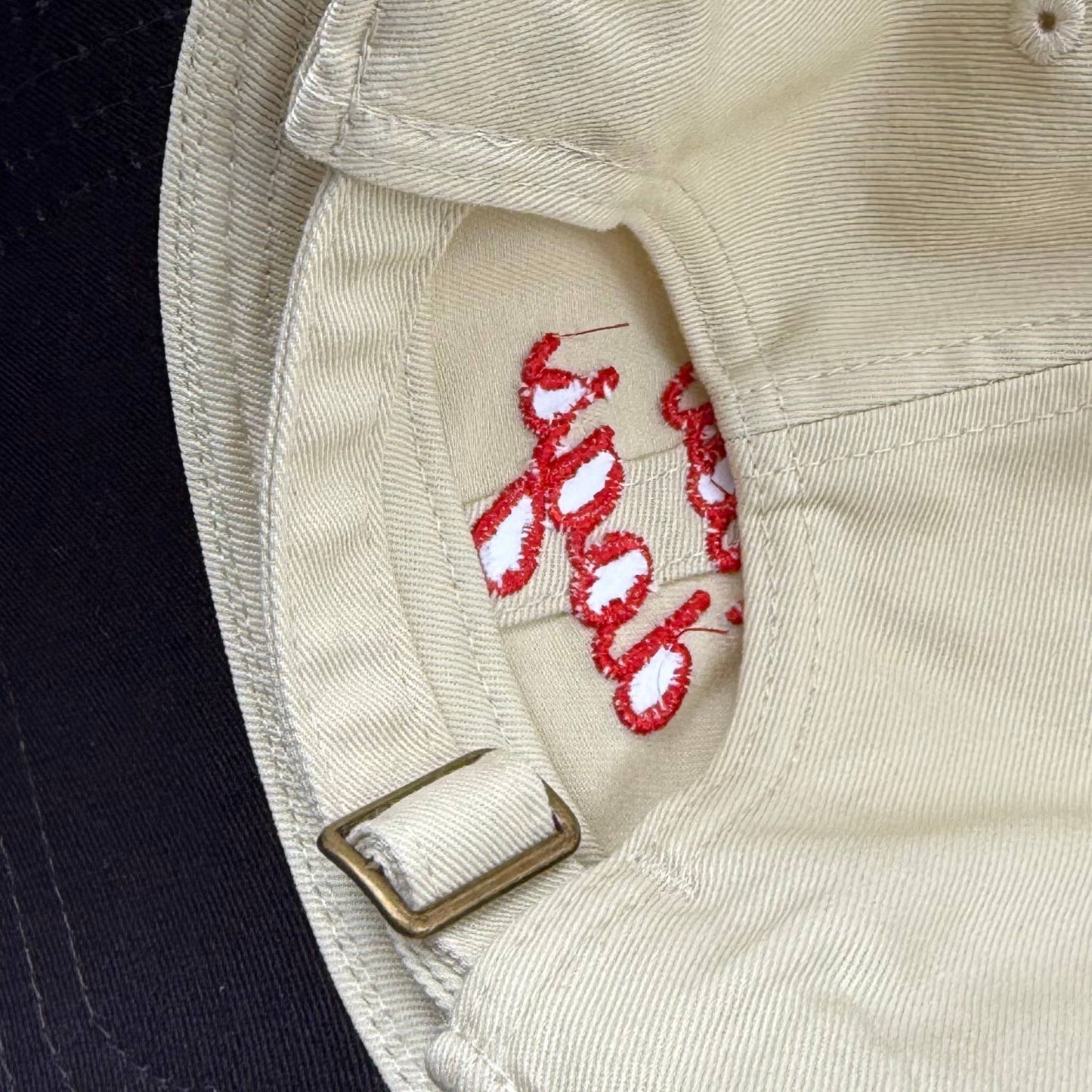 The Silver Spider • “Hot Dogs” Baseball Dad Hat 