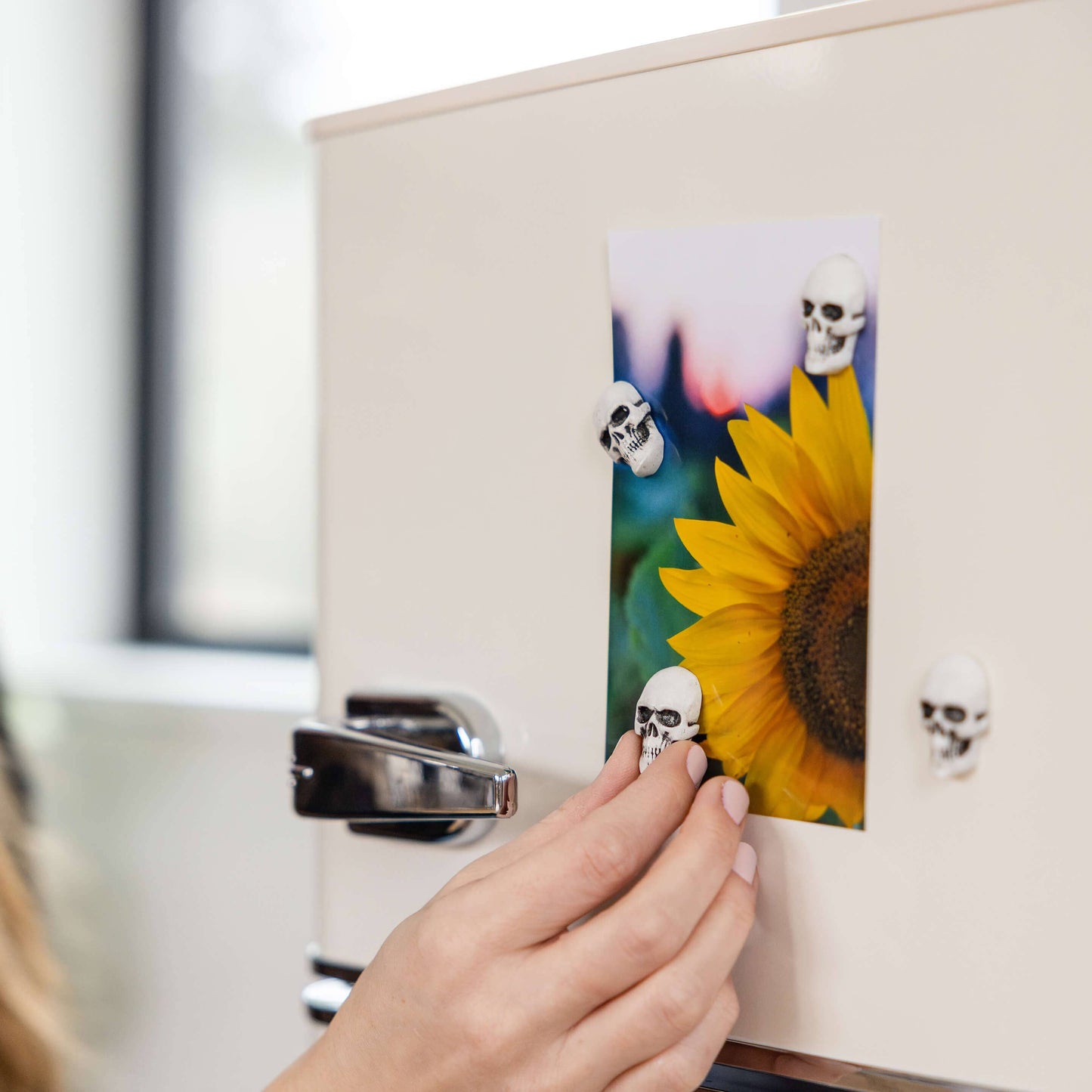 Three by Three • Skull Magnets