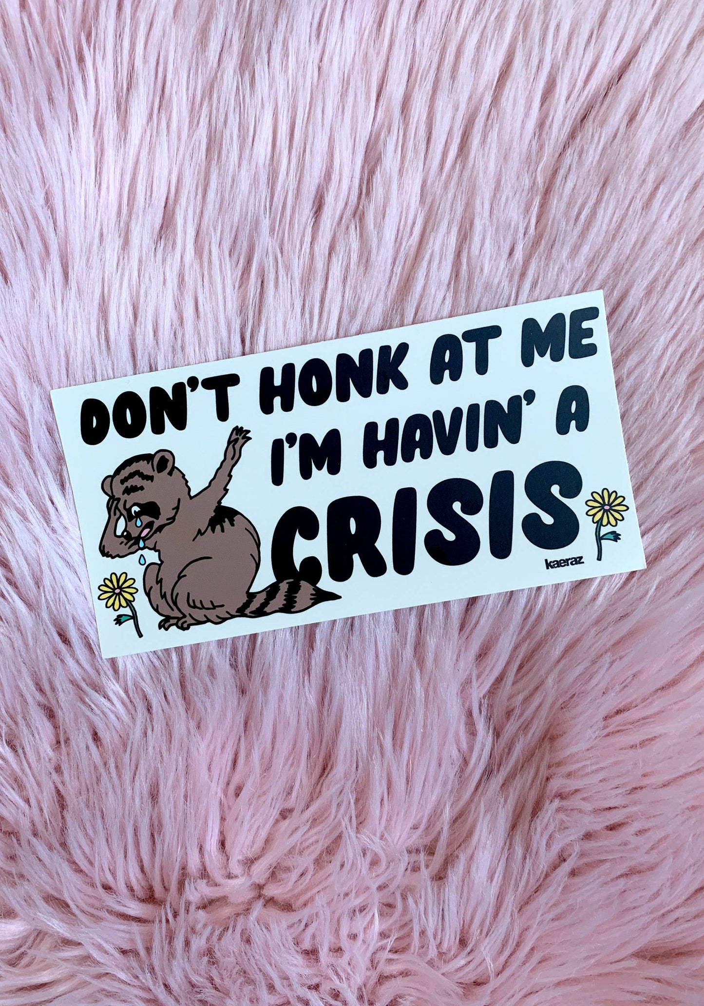 SALE • “Havin' A Crisis” Raccoon Bumper Sticker